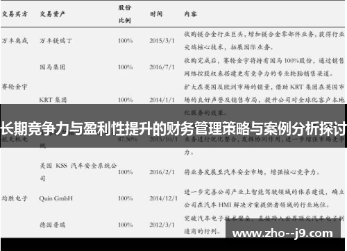 长期竞争力与盈利性提升的财务管理策略与案例分析探讨
