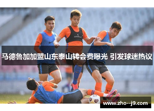 马德鲁加加盟山东泰山转会费曝光 引发球迷热议